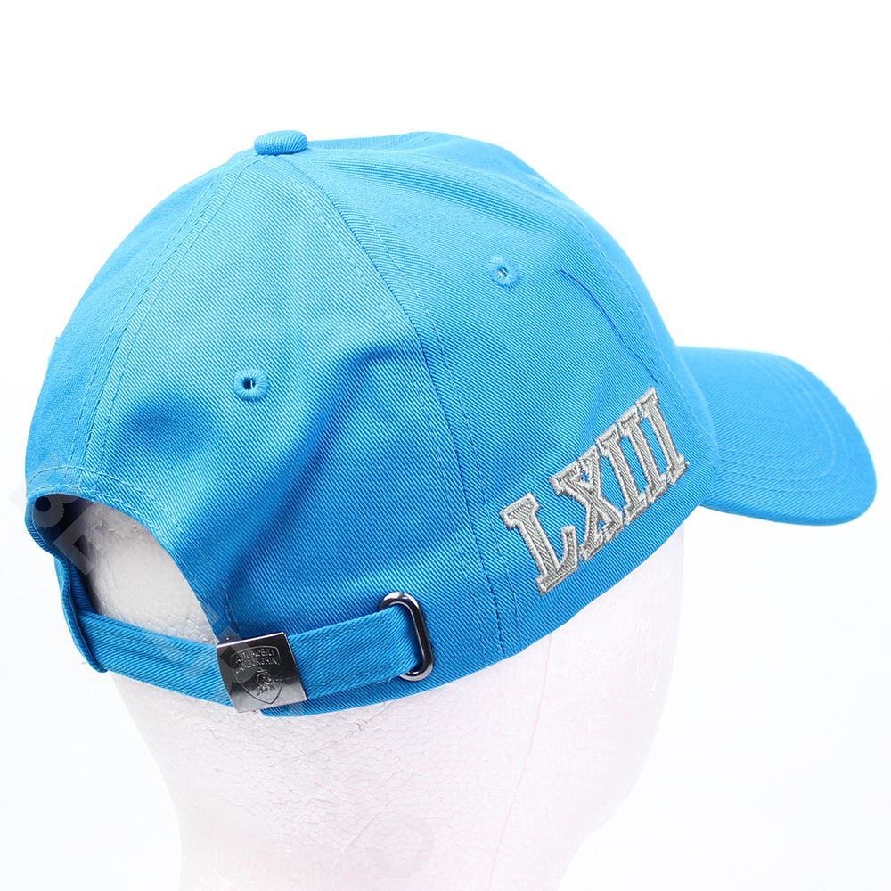 専用ページになります(⁎ᴗ͈ˬᴗ͈⁎) SmartNetcommunity αZXⅡ typeL｜ビジネスフォン・オフィス