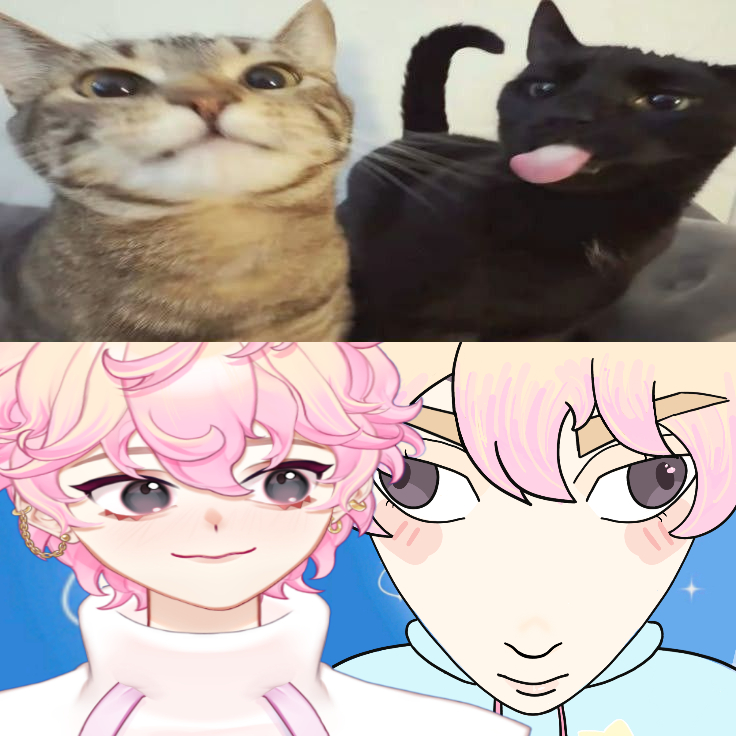 fin ⭐️🦈 tweet media