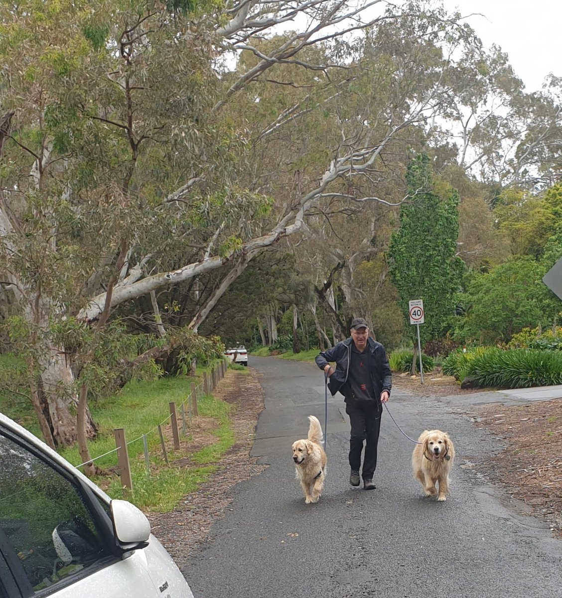 heltweet's tweet image. Good morning #Wordlers
#TalkingTuesday
Returned to Spring Rain,sunshine,cold air
Birds resuming courtship behaviour
Life is good
Fairly fast 4 
Some serious thought required 
#Wordle1599 4/6
⬜⬜⬜⬜🟩🕊
⬜⬜🟩⬜🟩☮
⬜🟨🟩⬜🟩🤞
🟩🟩🟩🟩🟩💃
Met 2 chaps yesterday
Calm #Breath