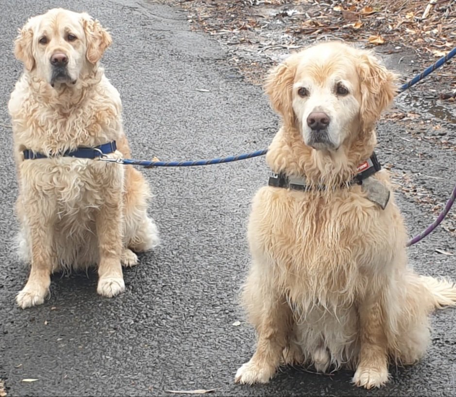 heltweet's tweet image. Good morning #Wordlers
#TalkingTuesday
Returned to Spring Rain,sunshine,cold air
Birds resuming courtship behaviour
Life is good
Fairly fast 4 
Some serious thought required 
#Wordle1599 4/6
⬜⬜⬜⬜🟩🕊
⬜⬜🟩⬜🟩☮
⬜🟨🟩⬜🟩🤞
🟩🟩🟩🟩🟩💃
Met 2 chaps yesterday
Calm #Breath