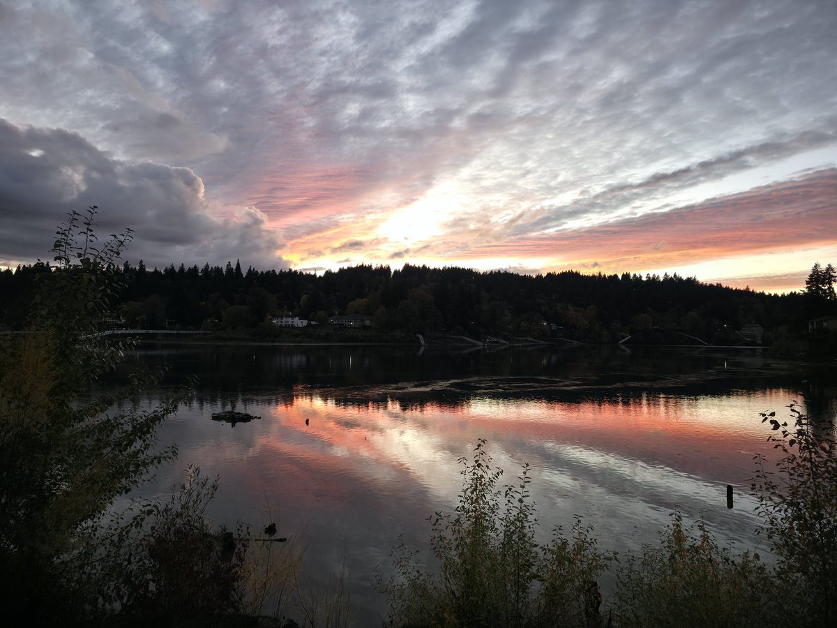 MixDB's tweet image. 