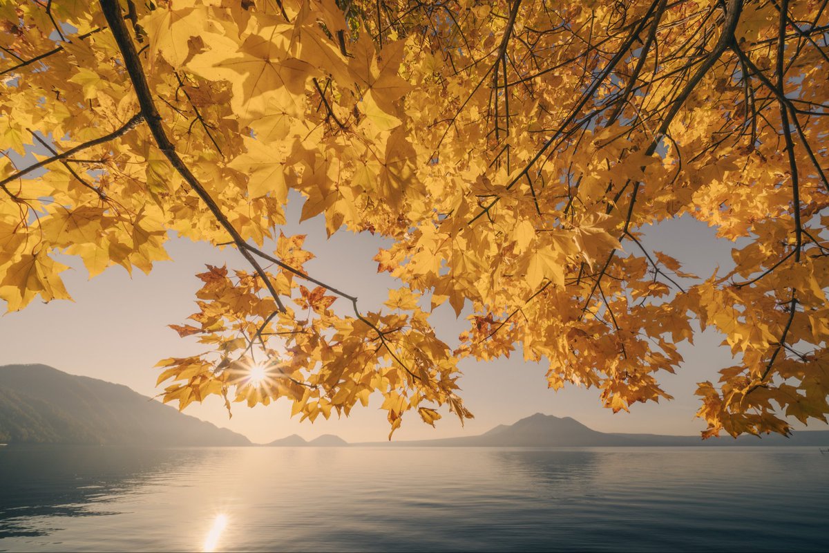 Phaengy(ペーン) (@phaengy) / Posts / X