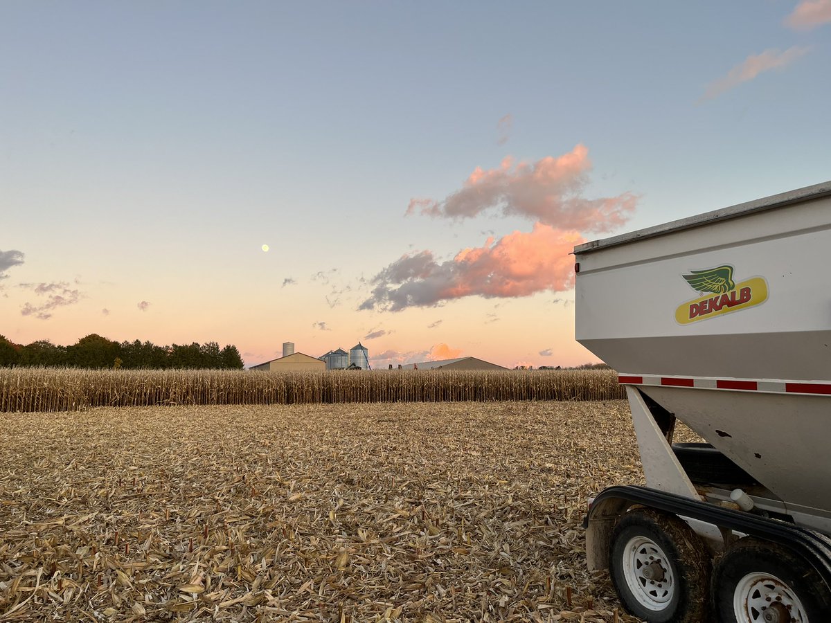 Leanne Freitag, CCA-ON tweet media