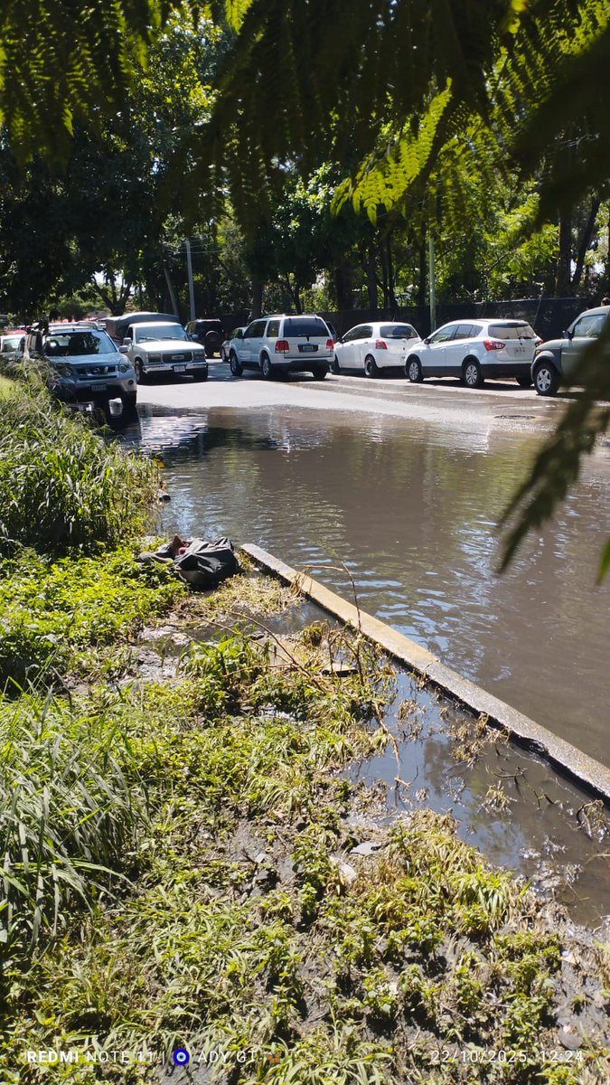adyhgo's tweet photo. @siapagdl  hasta cuándo van a hacer algo?
Hace mucho que no llueve y la alcantarilla , que está en Av. De la Cruz , entre mesa del Centro y Nudo de Cempoaltepec,sigue tapada desde la última lluvia ¡son actas negras!
Es pasadera de niños a la escuelas
Mi reporte es el 11544499 https://t.co/4CmNgEUALh