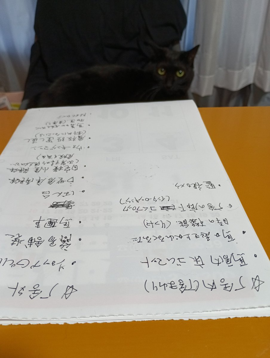 厩舎新築クラウドファンディング❗たくさんのご支援ありがとうございます🙇
朝からミーティング😌ネクストゴール設定に向けて厩舎まわり、敷地内のやりたいことをリストアップしてクラファン戦略担当補佐の #福豆(#ふくちゃん)にお伺いを立てています。項目はさらに増えそうです👊
#ノーザンレイク