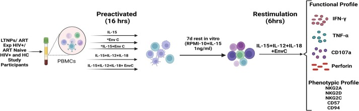 Anti-retroviral treatment of HIV infected individuals improves the ex vivo generation of memory-like NK cells
linkinghub.elsevier.com/retrieve/pii/S…
