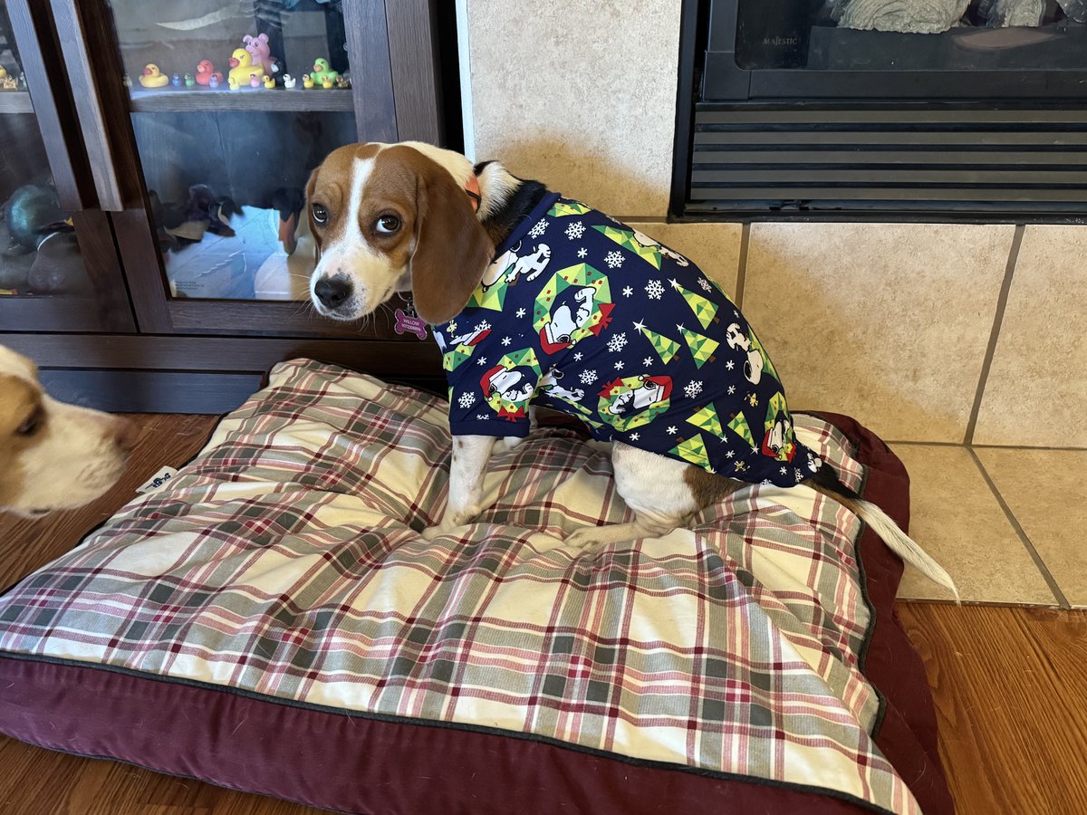 Lookz what daddy gotz us 😡🤬😡