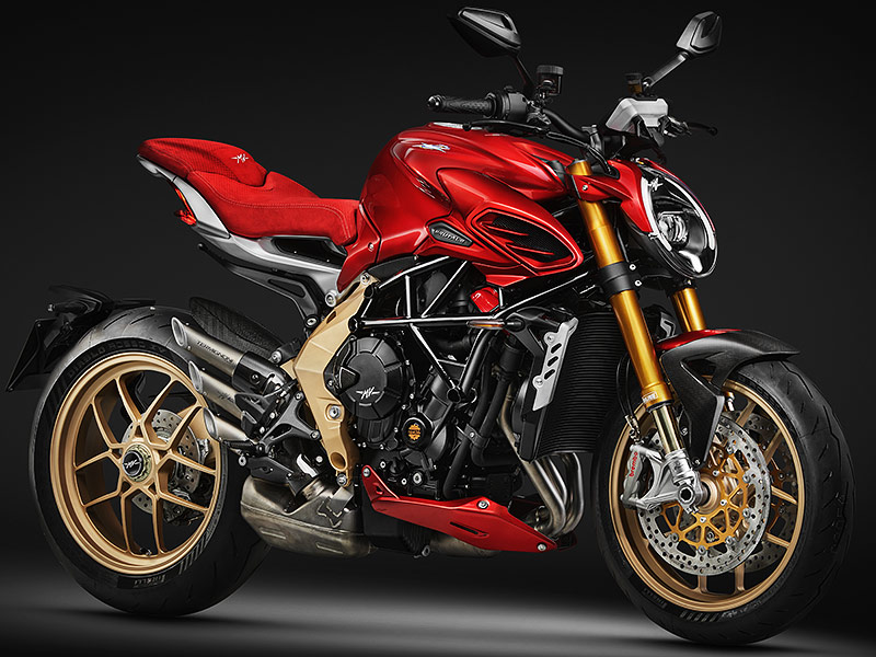 ガジュマル27 ガジュマル27 【公式通販】