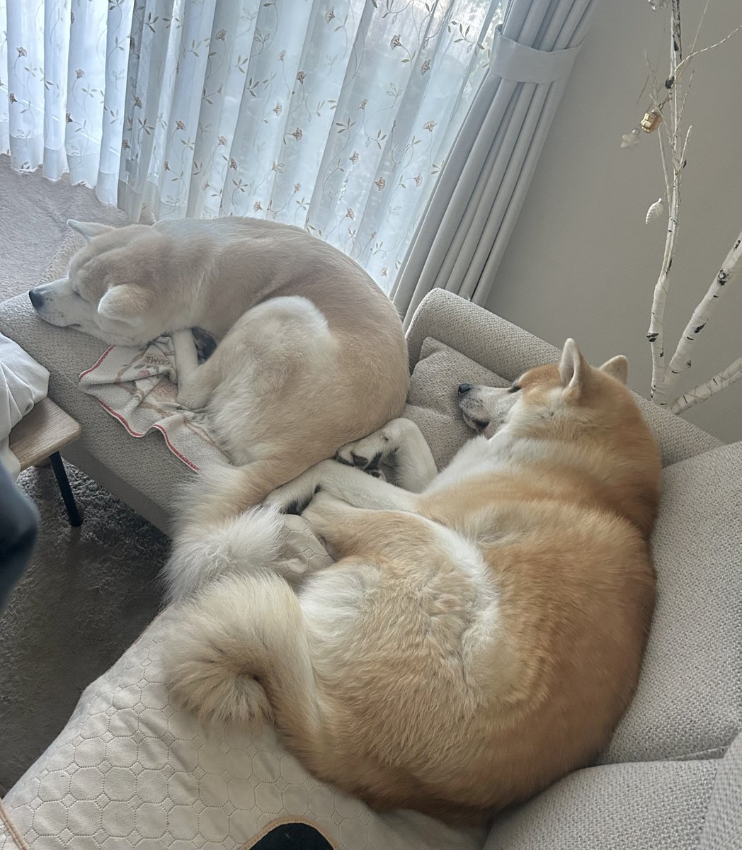 ْ (@65907_30_4) / Posts / X