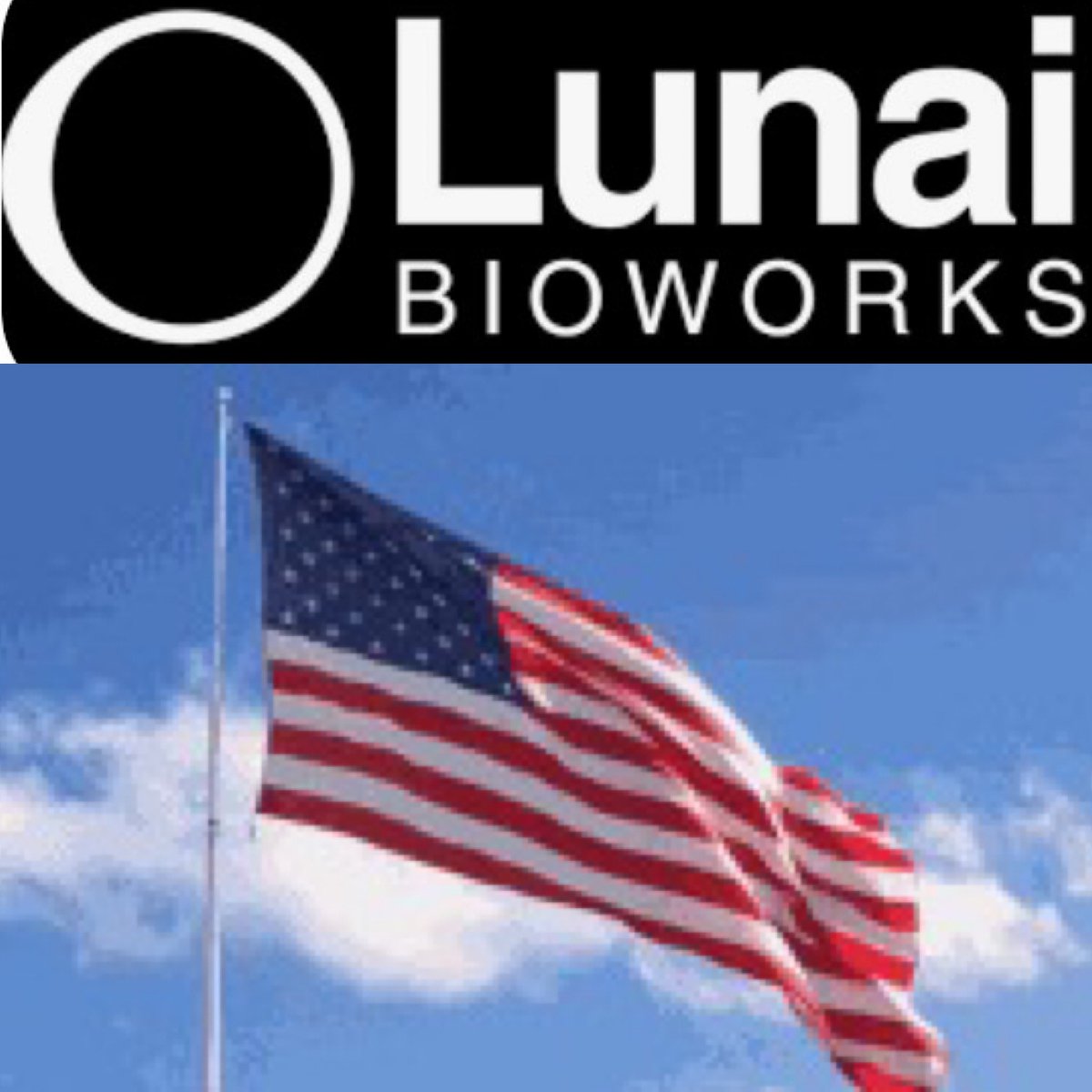 VanHipp's tweet photo. Congrats to Lunai Bioworks for leading the way to use Artificial Intelligence to help thwart chemical and biological attacks.  

 @lunaibioworks is a great example of President Trump’s AI Action Plan being used to keep America safe!  🇺🇸 #LNAI @doddtra  https://t.co/V3Mv8IufJw https://t.co/mnrjfeNvRP