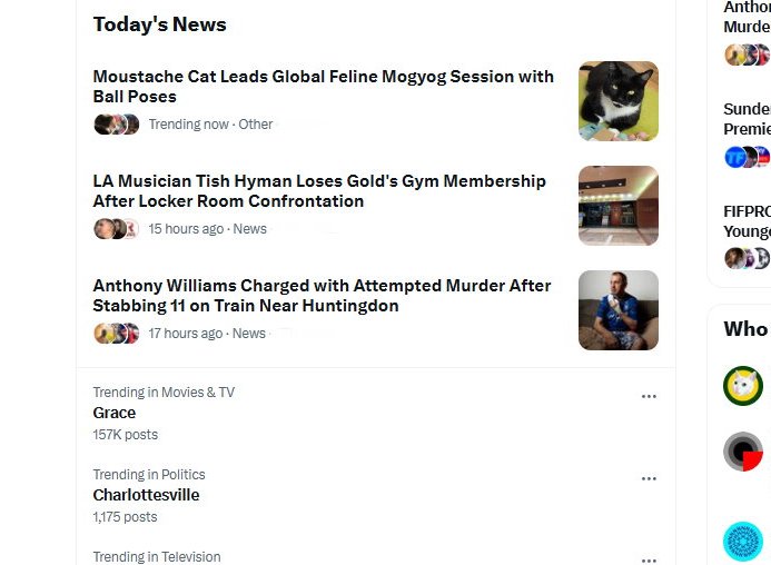 Moustache Cat tweet media