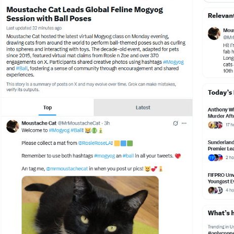 Moustache Cat tweet media