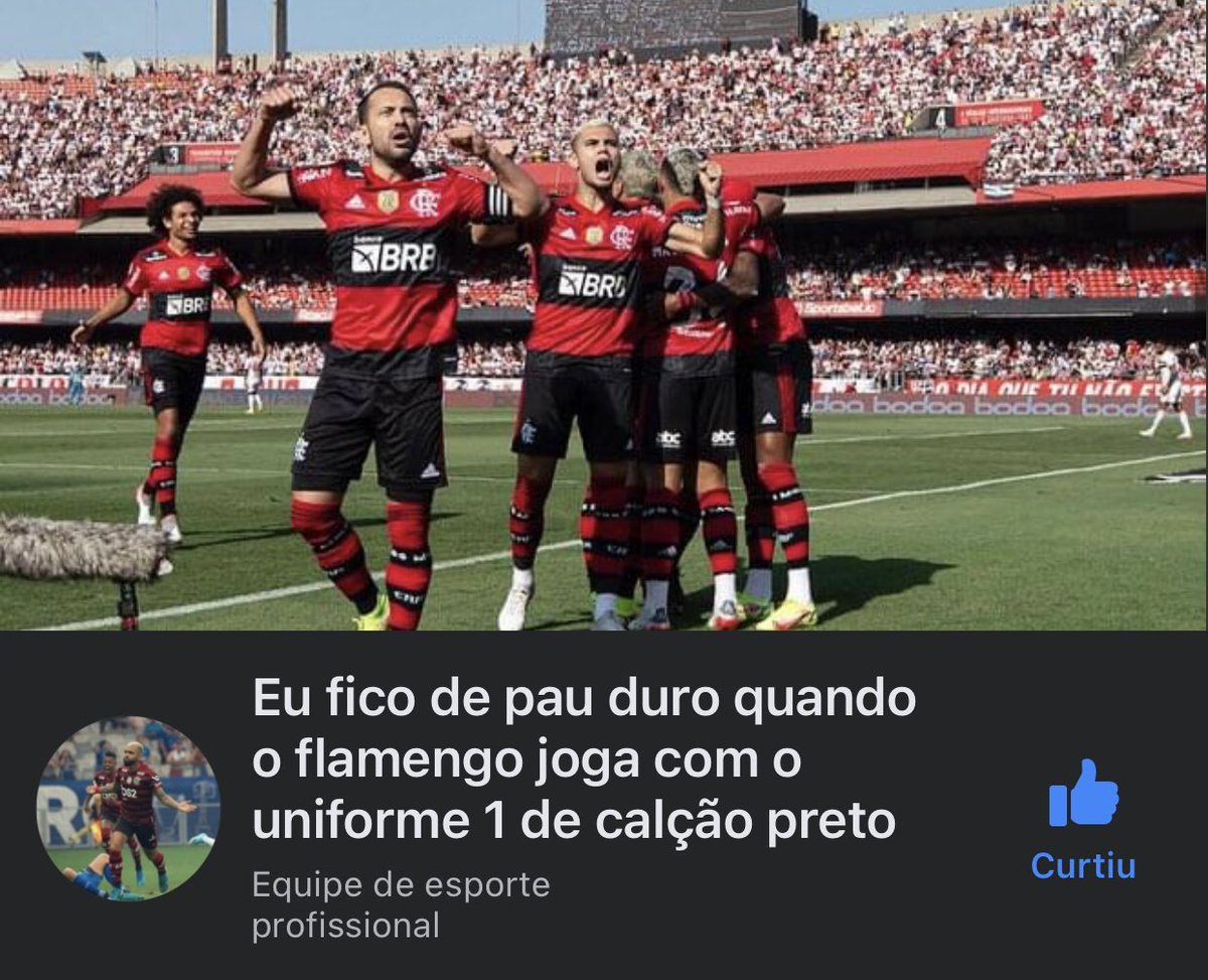 A torcida do Flamengo assim na final