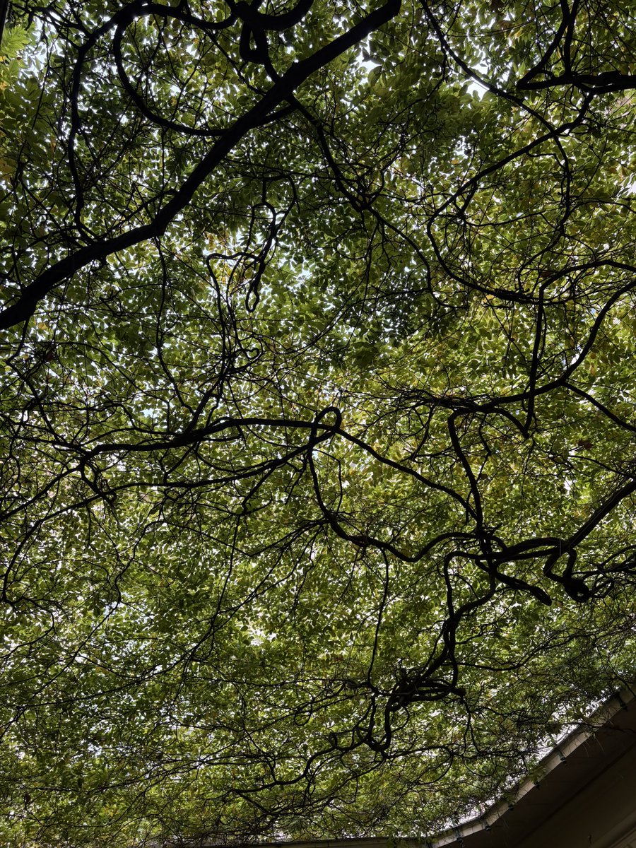 adderallcandy's tweet image. Tell the opps come find me