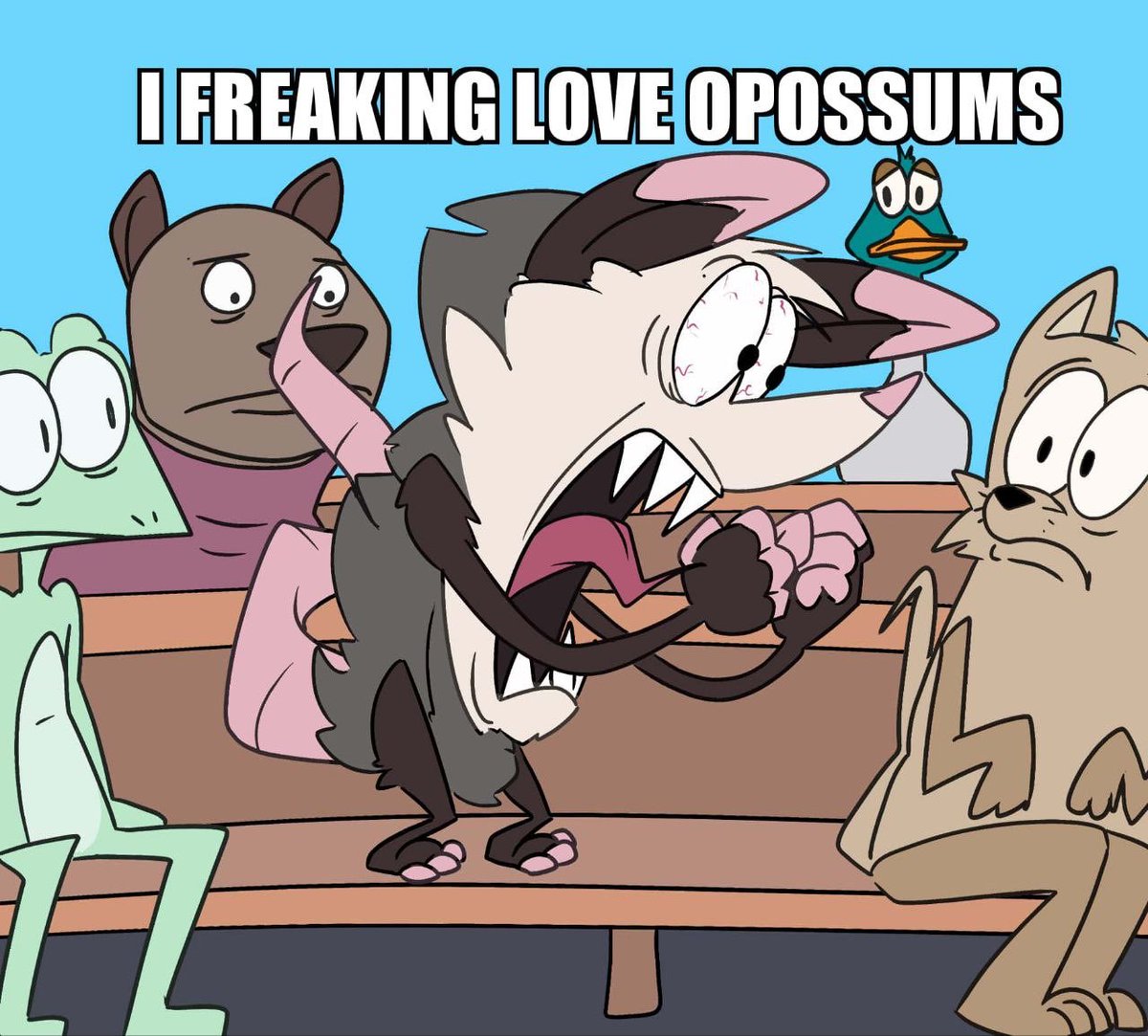 Average possumsona haver