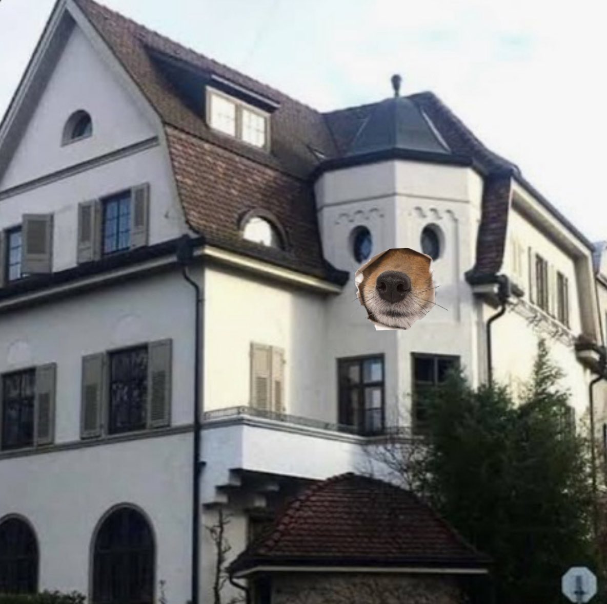 no nose charge . it’s on the house