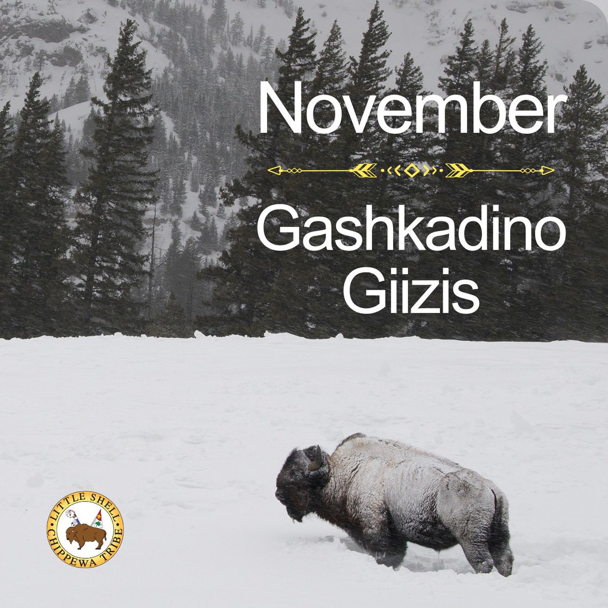 MTLittleShell's tweet image. Gashkadino-Giizis (Freezing Over Moon) is an #Ojibwe word for #November. We are quickly moving into the colder weather months! #LittleShell #Anishinaabemowin