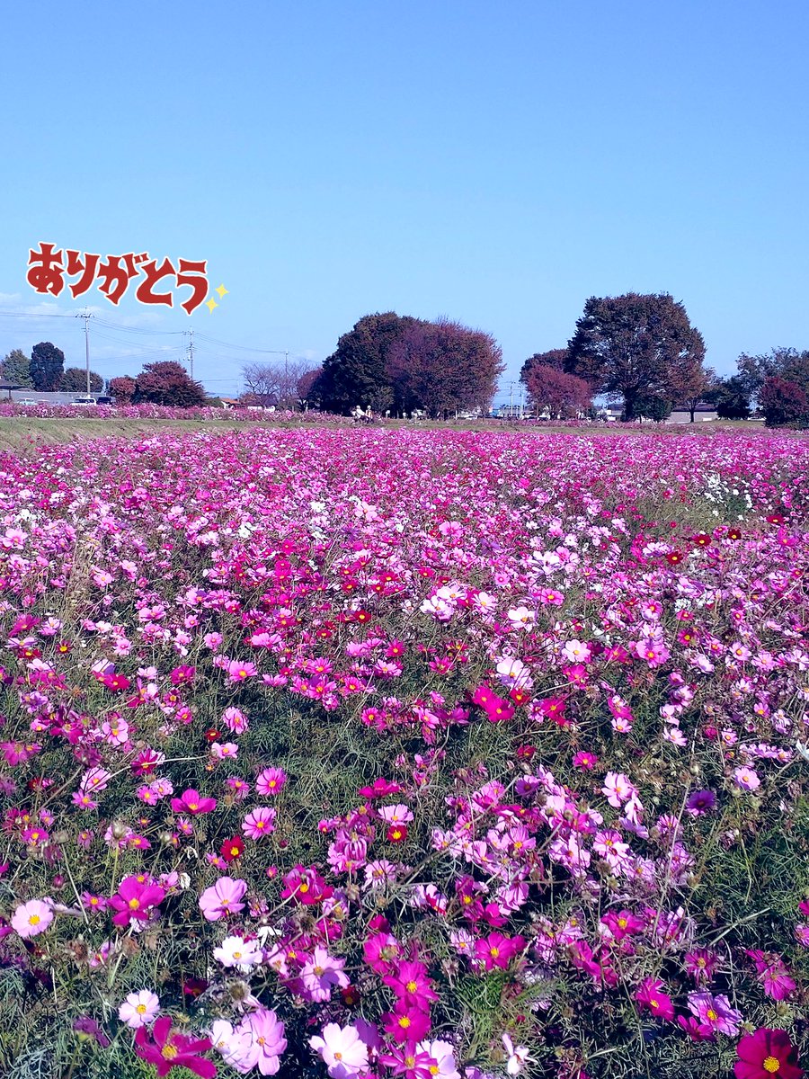 ♡ぜんきち様ご確認♡ 蒼染衛門 on X