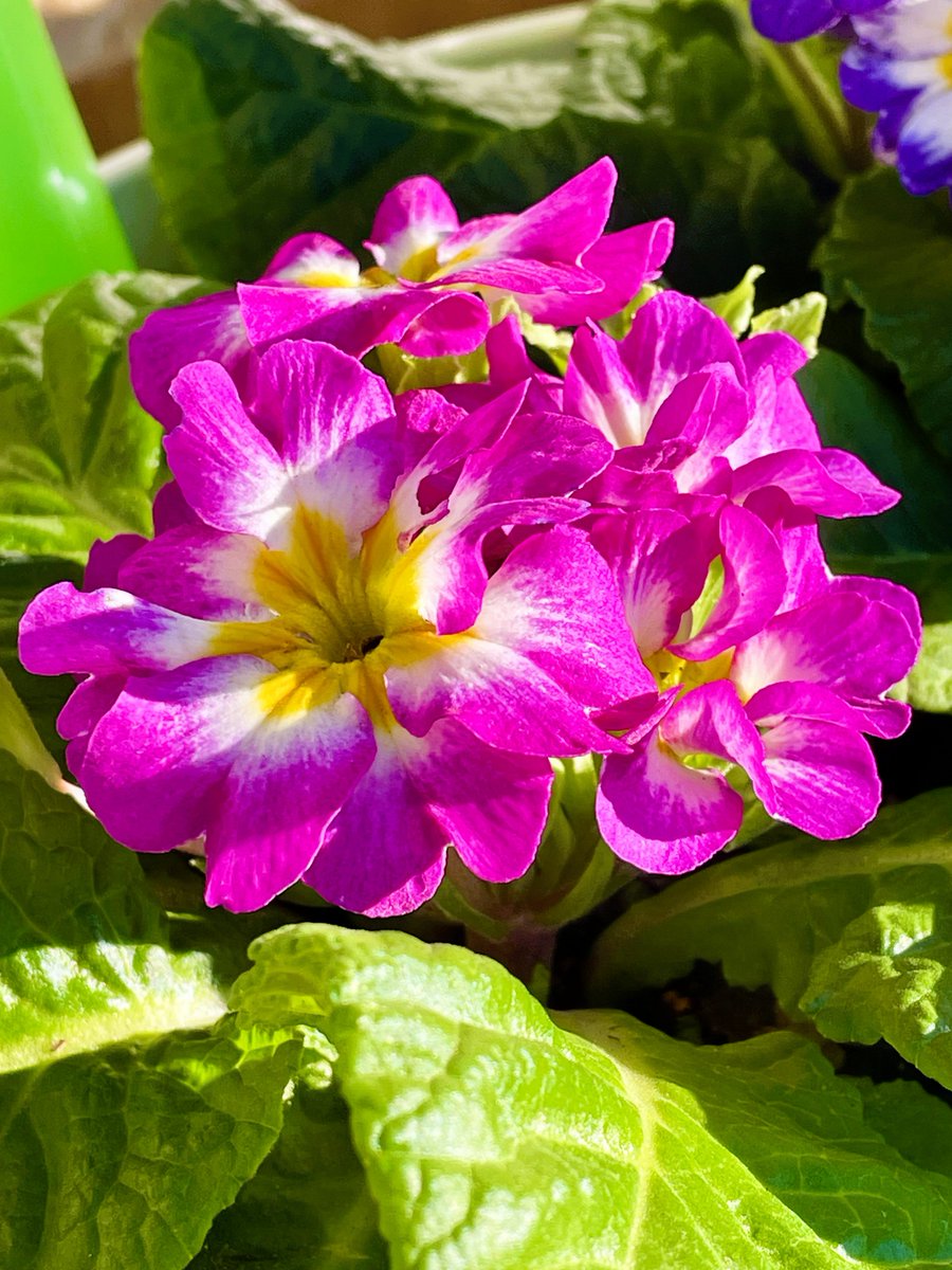 株式会社青葉🍀 on X