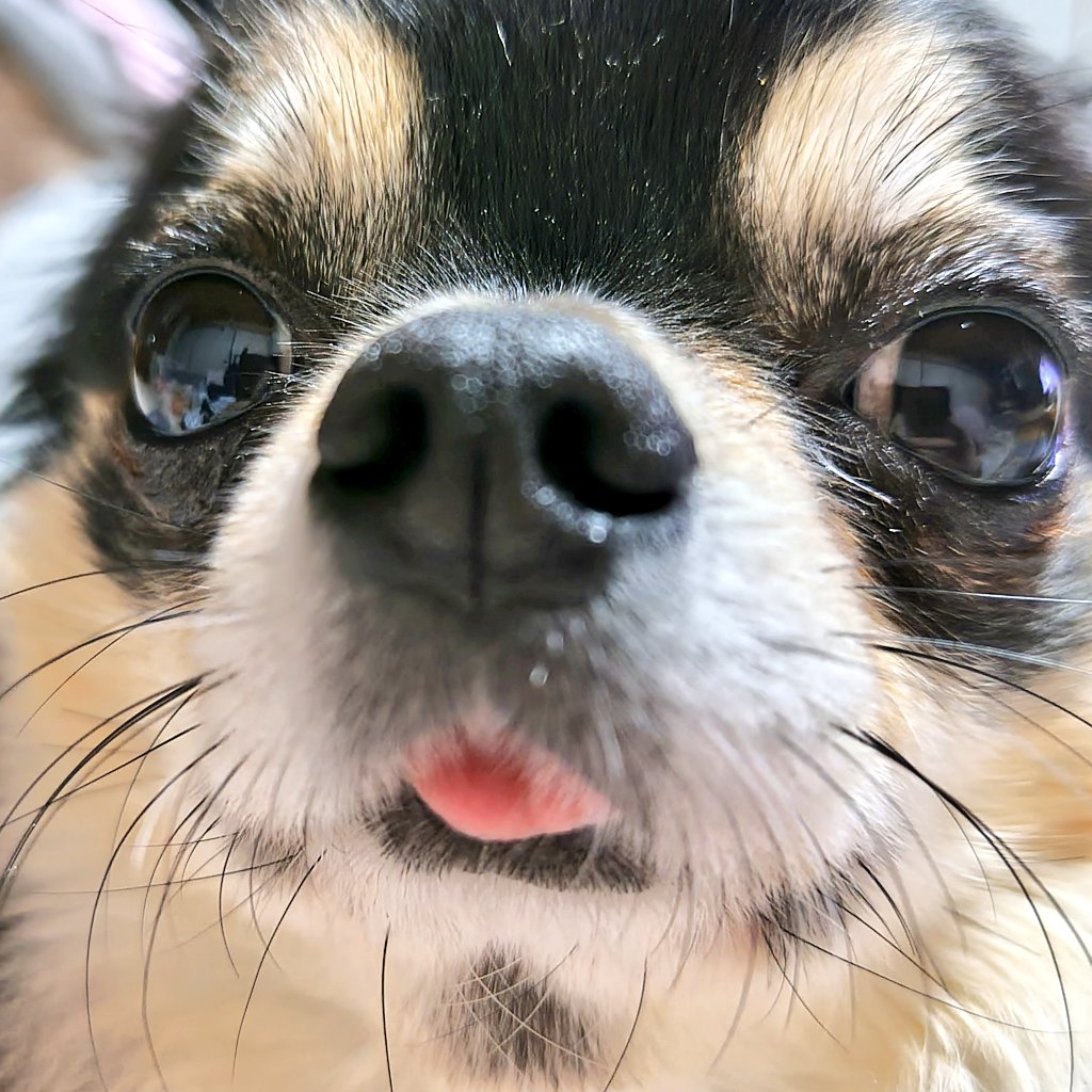 ユリ🌎🥜🍰🍟 (@vLS4ix67H5SJnmp) / Posts / X