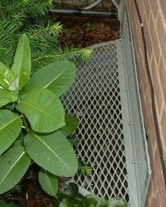 windowwell's tweet image. We're proud to partner with our customers to find the right solution for every challenge—big or small. Custom covers with custom colors! Call us at 262-740-7220 option 2 or visit us: windowwellexperts.com