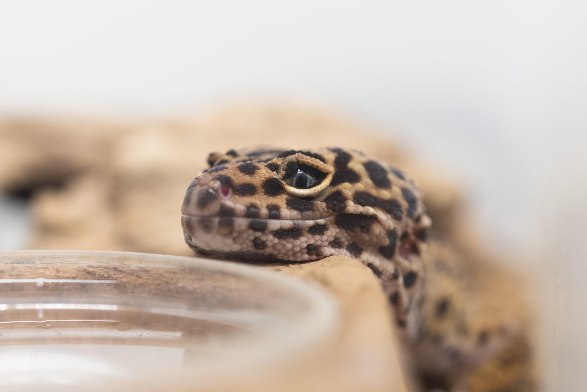 さぁ、働くか…