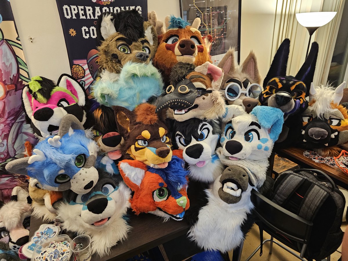 Animal carpet collection at a Halloween party :3