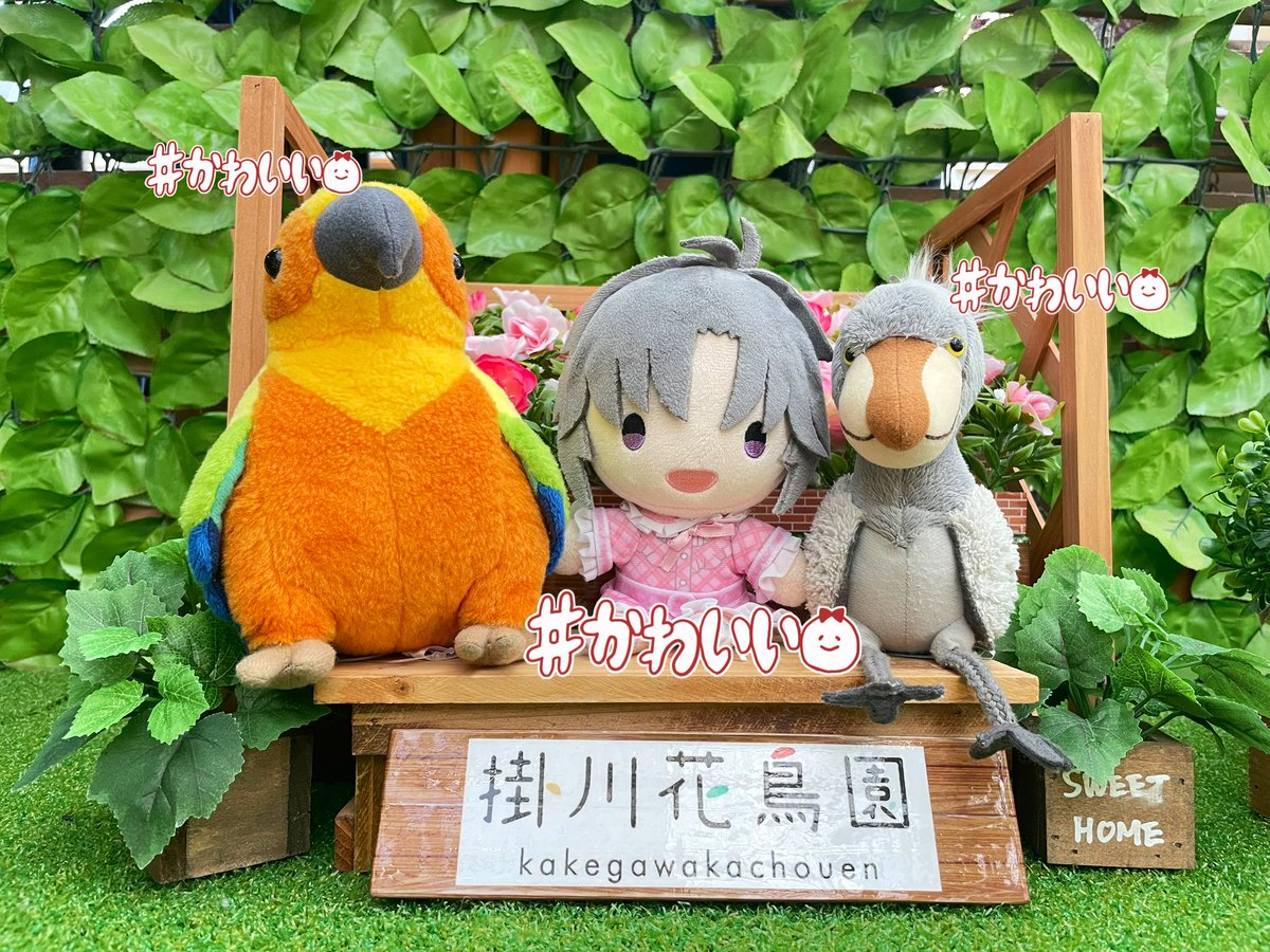 昨日行った掛川花鳥園でぬい撮りができるスペースがあり、可愛すぎる写真撮れました
#旅マス