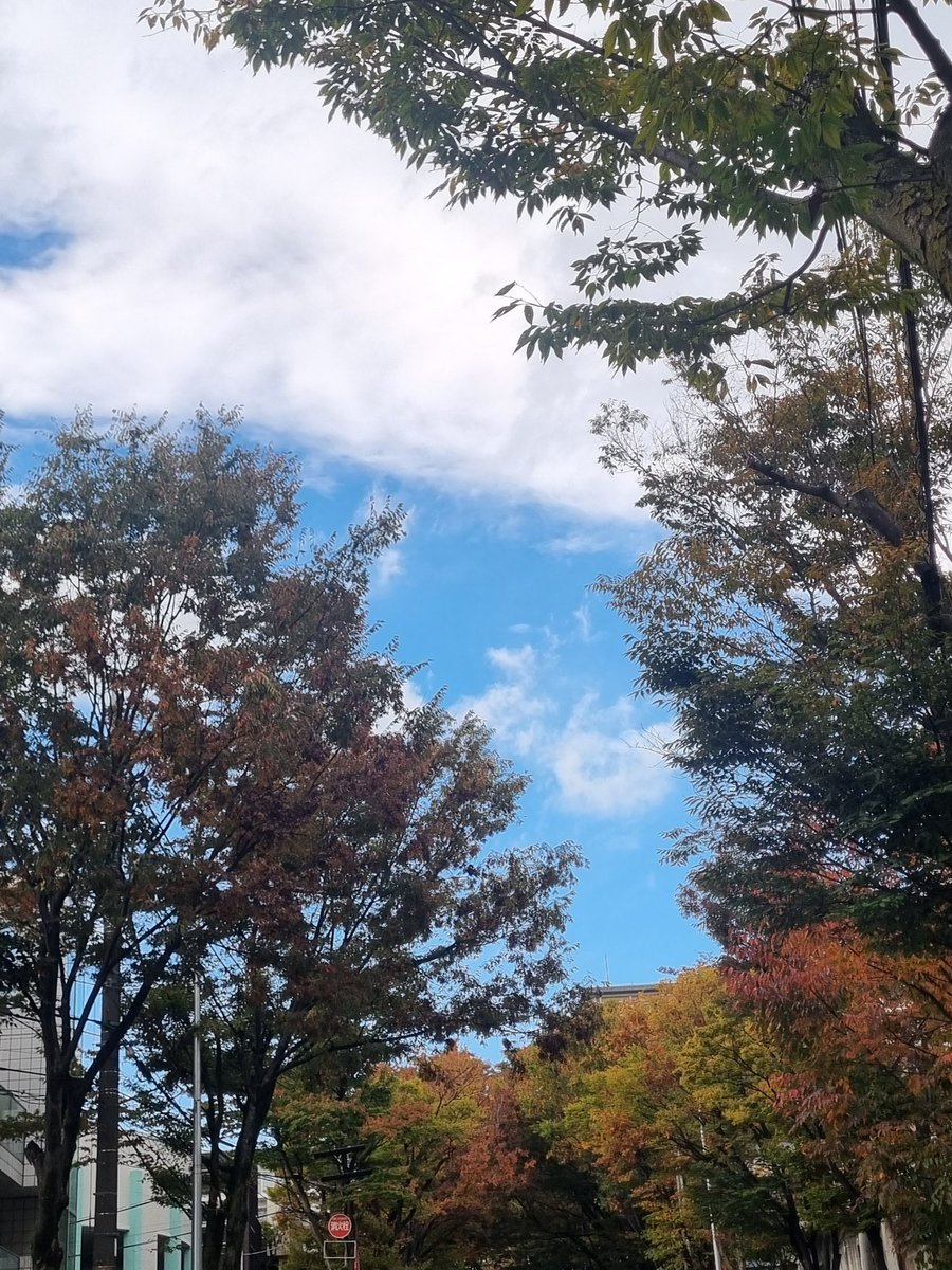 Polaris__Rei's tweet image. 皆さんおはよー👋😆✨☀️
今日もいい天気すぎじゃん8(*^^*)8
💜💜💜