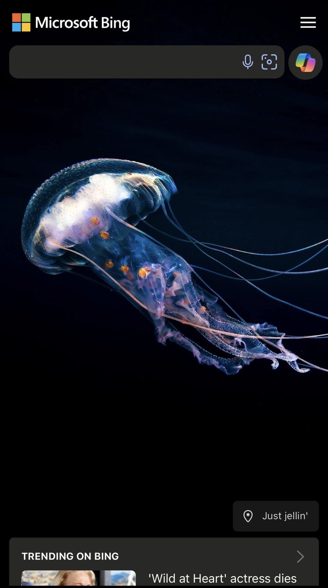 fogdigitalmktg's tweet image. Why Bing Still Matters (And What You’re Missing Without It)

When most people think of SEO, they think “Google.” And while Google is the giant, Bing consistently handles millions of daily searches — many of them from high-intent buyers.

fogdigitalmarketing.com/blog/why-bing-…