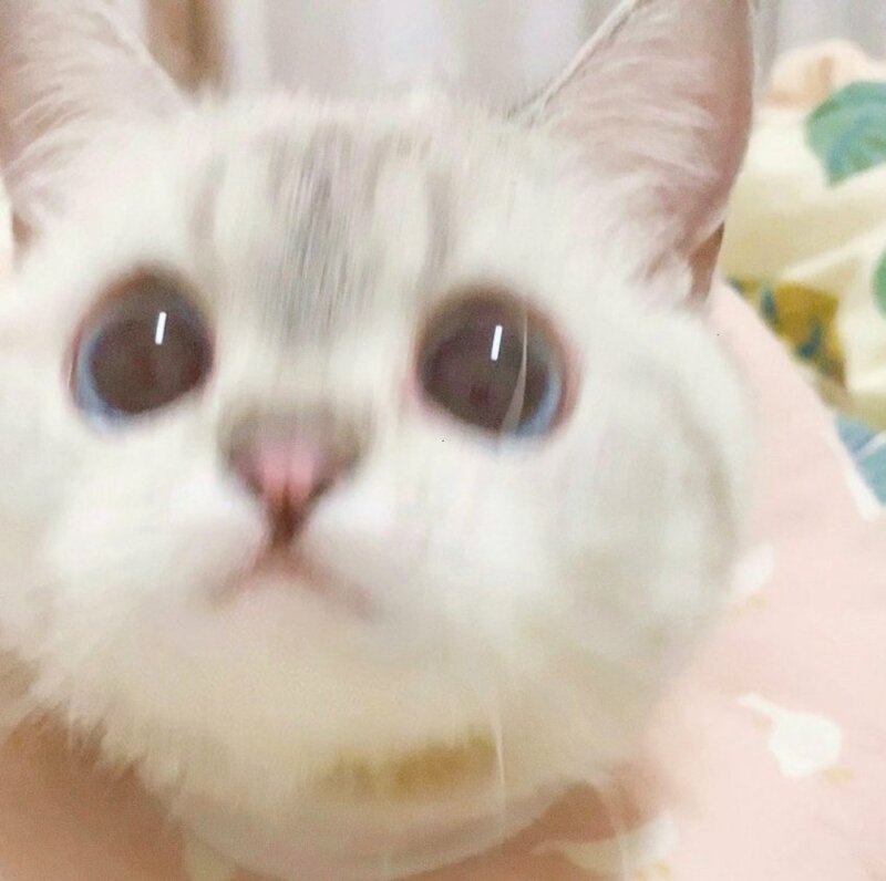 manyang0219's tweet photo. @0503_am https://t.co/eE3YyNvxoE
