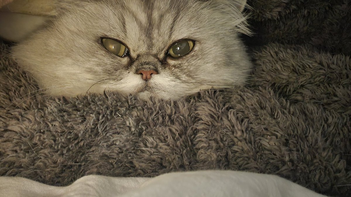 ♡roco77様ご確認♡ 🈶🐴(🧡21💜52) on X