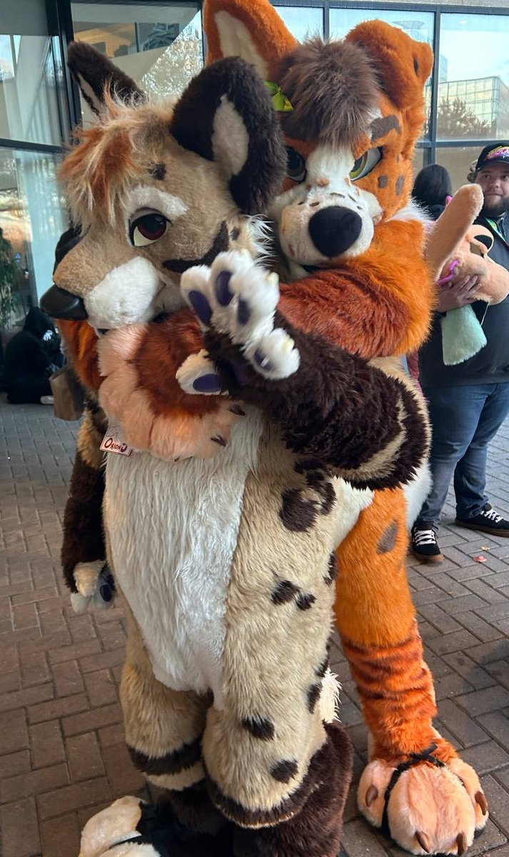 Looks like Cinnamon Collie snagged himself a BEAUTIFUL KITTY! He's not letting this cutie get away!! Orion is so beautiful and thankies to  Zotis for the picture