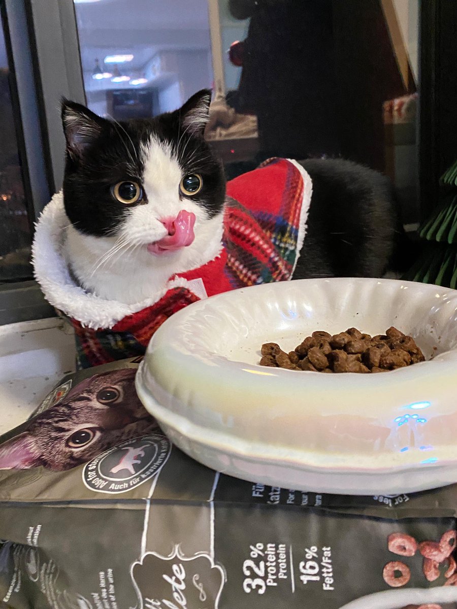 ⤵🍡🔊🎁
kindness heart connection because embrace the unknown. life energy time vibes smile