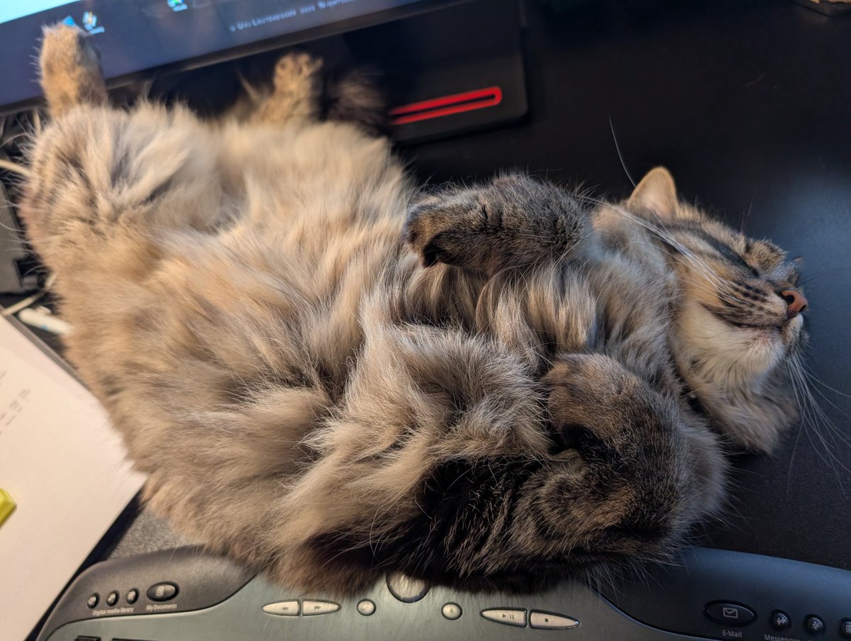 i_m_benjamin's tweet image. Вот бы я мог так расслабляться.