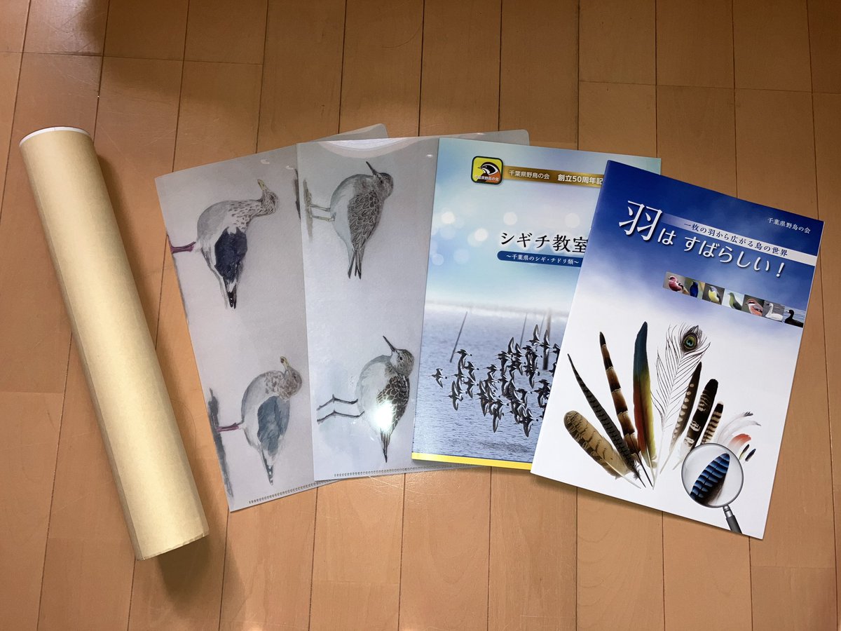 水彩画　鳥　「密林の宝石」　〜溢れる生命力〜 水彩画 鳥 「密林の宝石」 〜溢れる生命力〜 飛翔 Wings Over