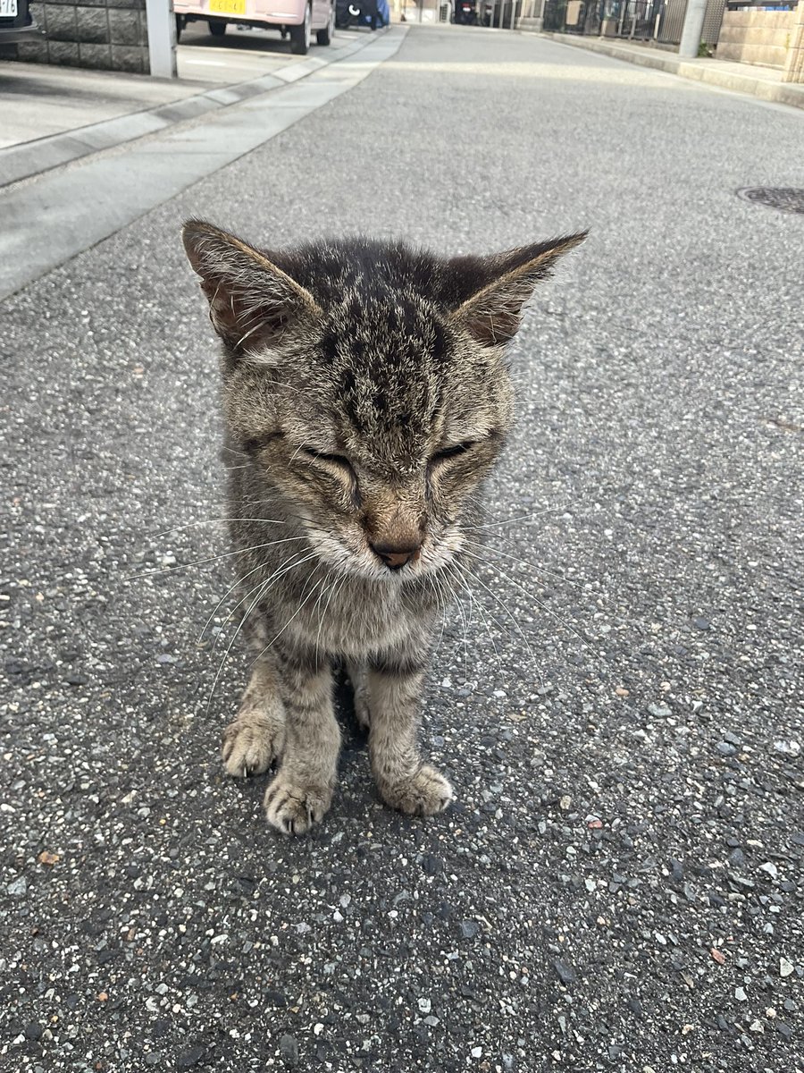 はなな📘📕10月断雨4巻 (@hananamdzs) / Posts / X