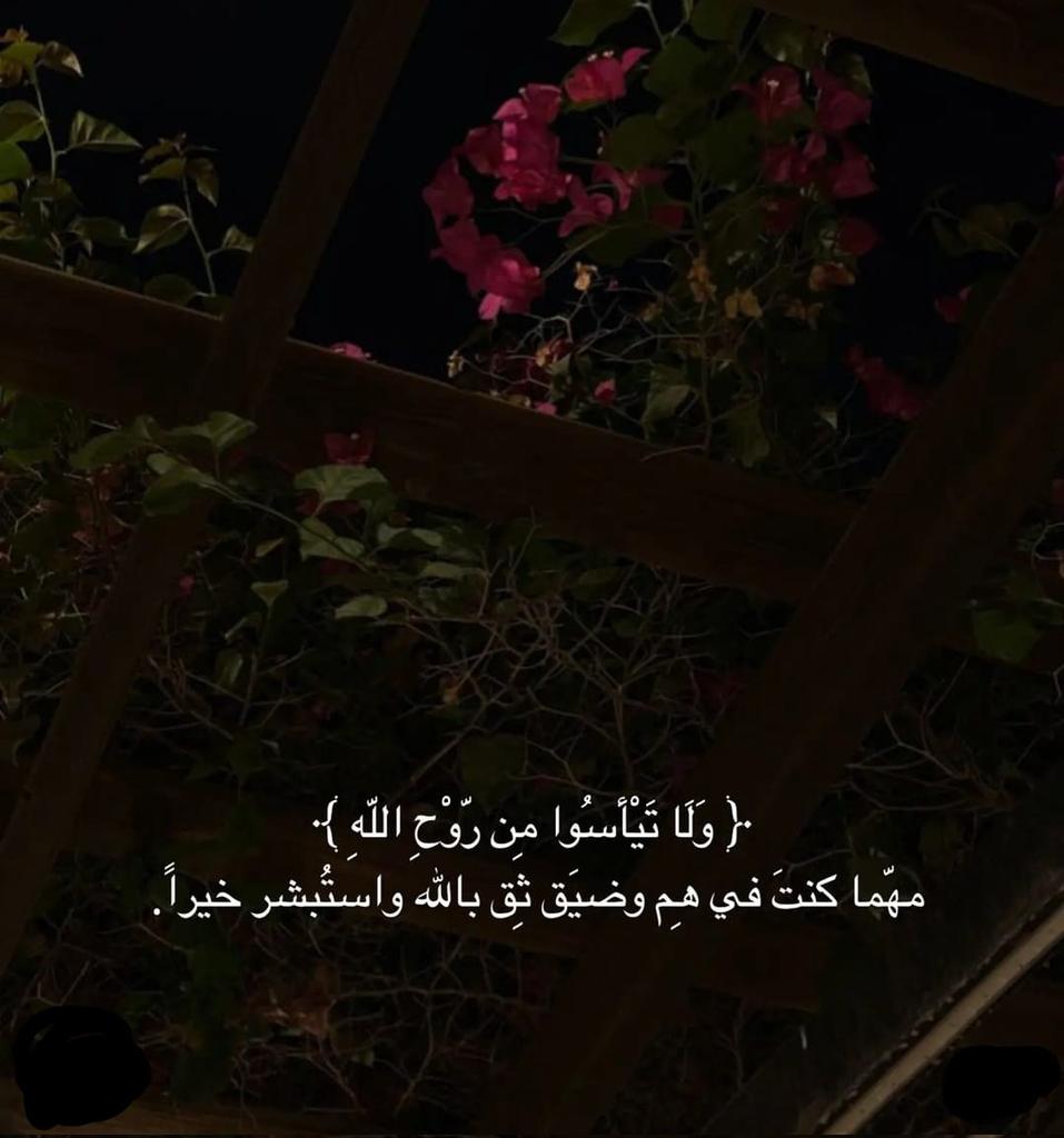 nyn1248717's tweet photo. *أنا عندي حسن، ظن عبد بي"*
*ومن وثق في الله لم يخذله. فلاتحزن الأمر ألم بك، ولا تفقد الأمل حتى في أشد اللحظات صعوبة.. فإن الله يراك يسمعك♥️✨.!* https://t.co/GhZpbPwXRx