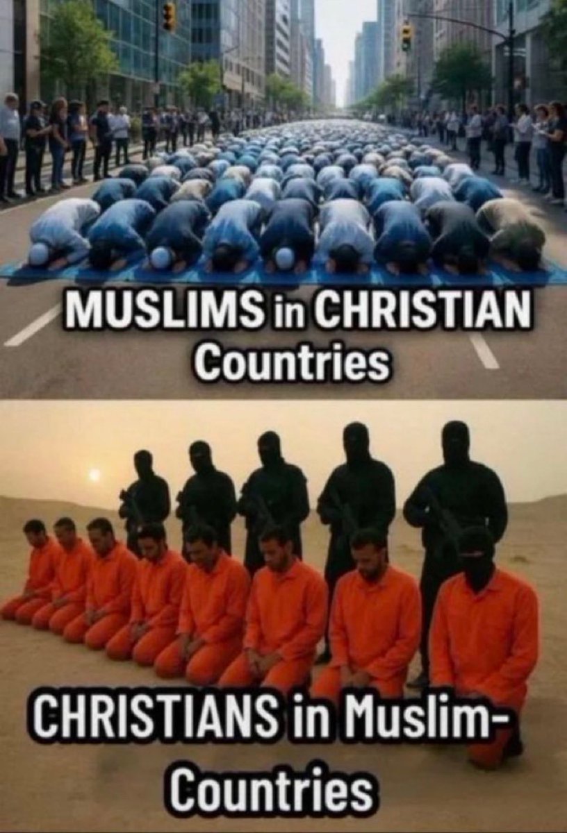 lynetso's tweet image. They should all be deported.