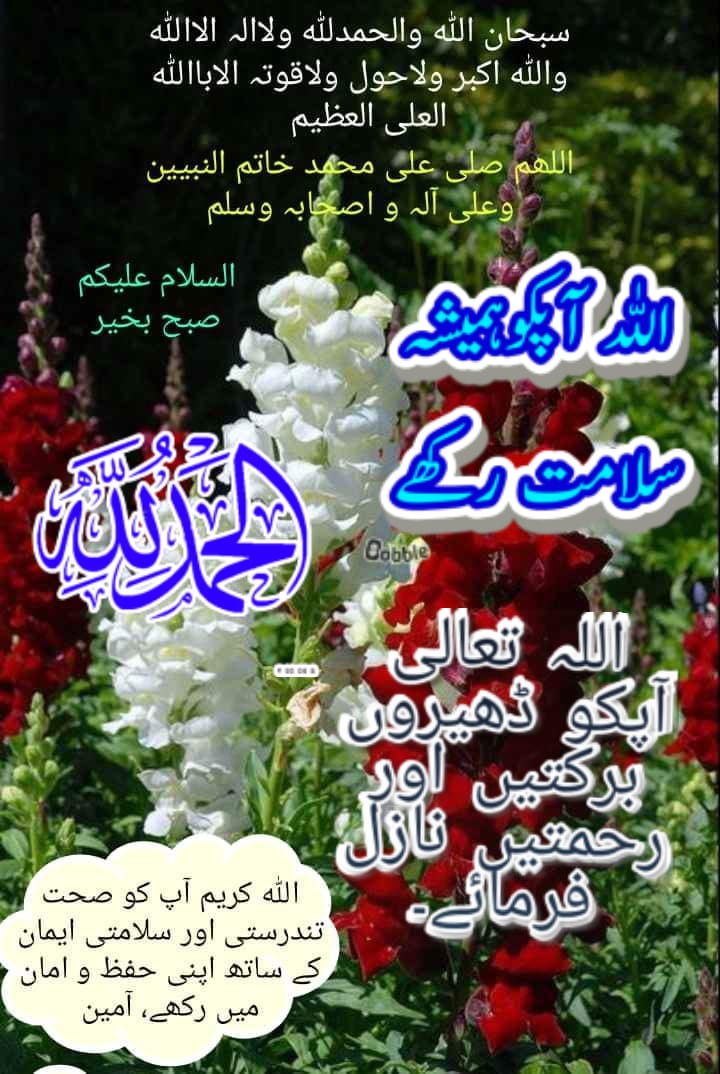 Musakheyra's tweet image. Good morning.
السلام علیکم ورحمتہ اللہ وبرکاتہ