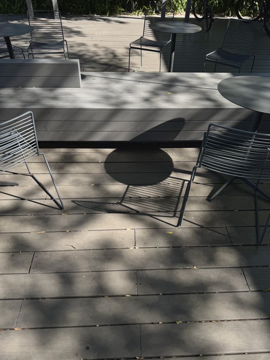 SantacSnosw's tweet image. 秋の日差しはもう強くないけど、ちょうど心のやわらかいところを照らしてくれるんだよね〜🌞