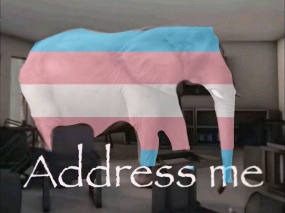 LeafsMatrix's tweet image. I love how this image fills every Nick Eh 30 comment section