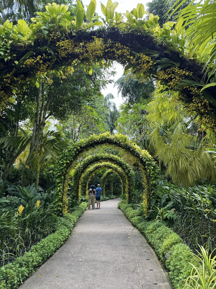 Hello from the future