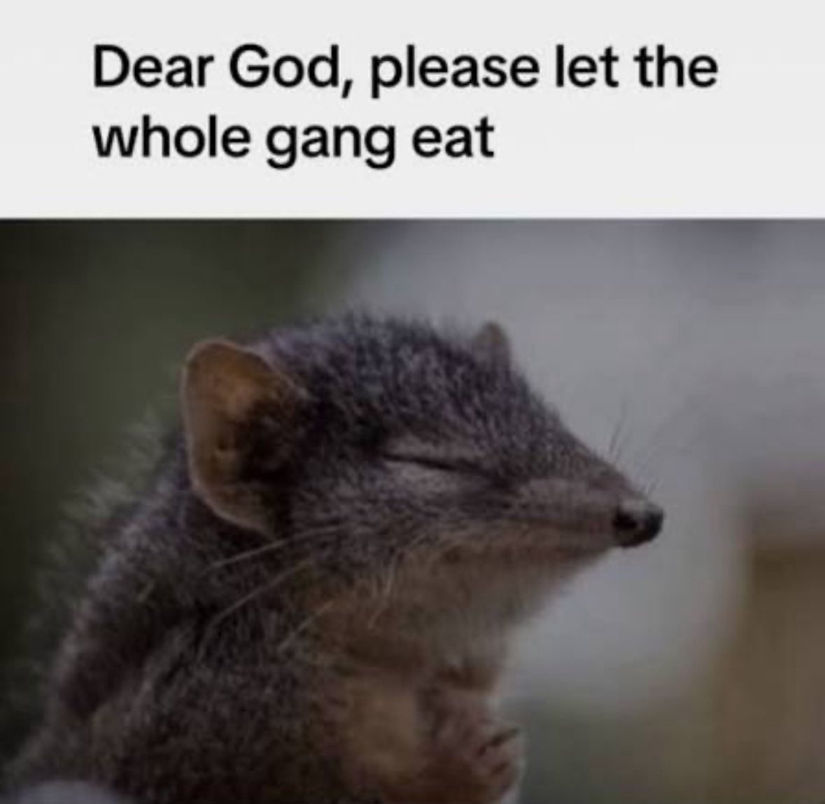 frankdegods's tweet image. 