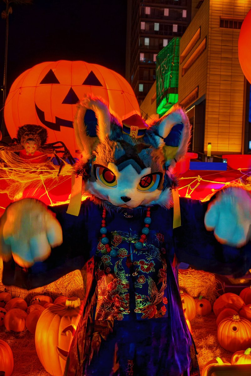 🧟来抓你了哦🧟