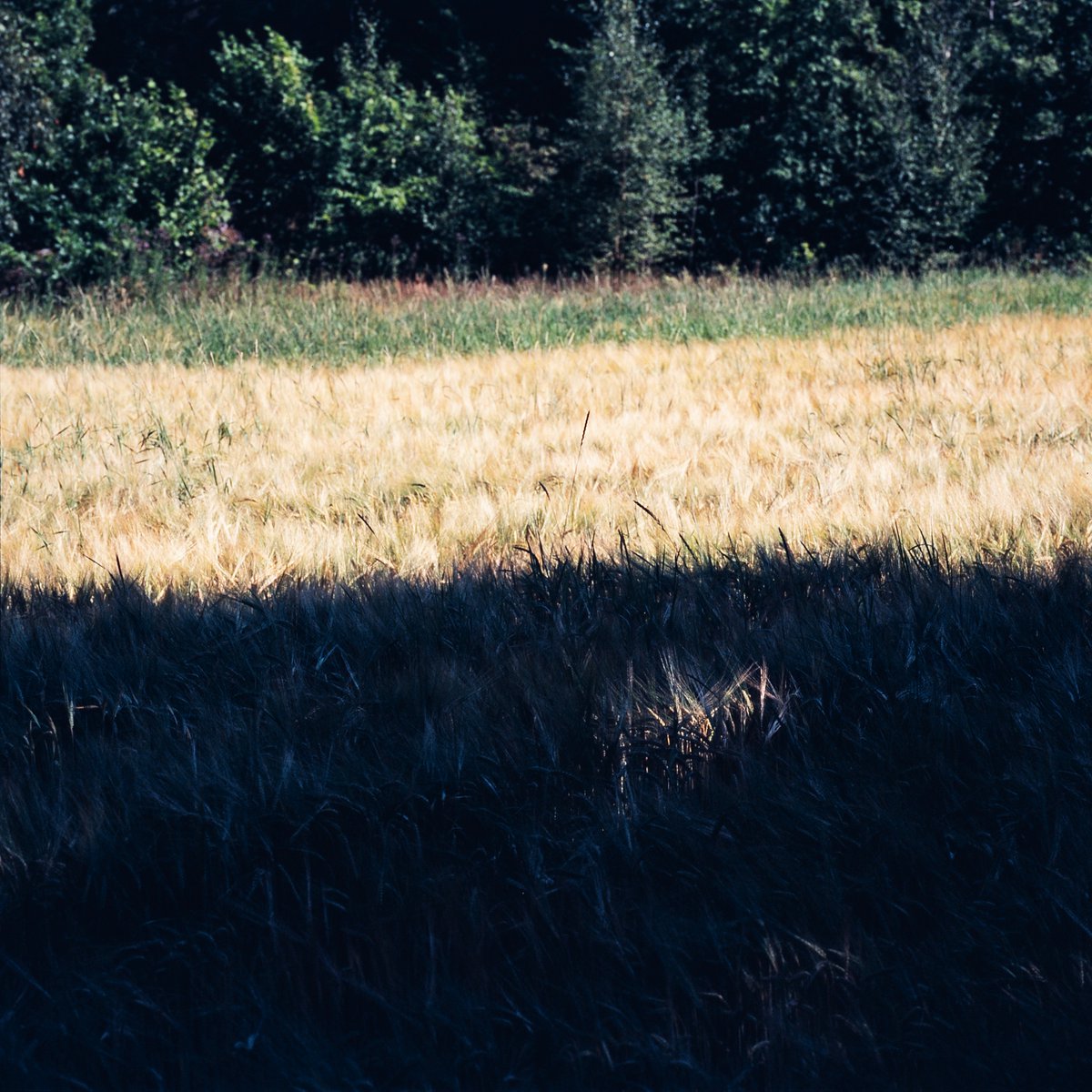 Slide Film Summer 045

Mamiya 6MF
Mamiya 6 G 150mm F4.5 L
Fujifilm Provia 400X (expired)
#believeinfilm #photography