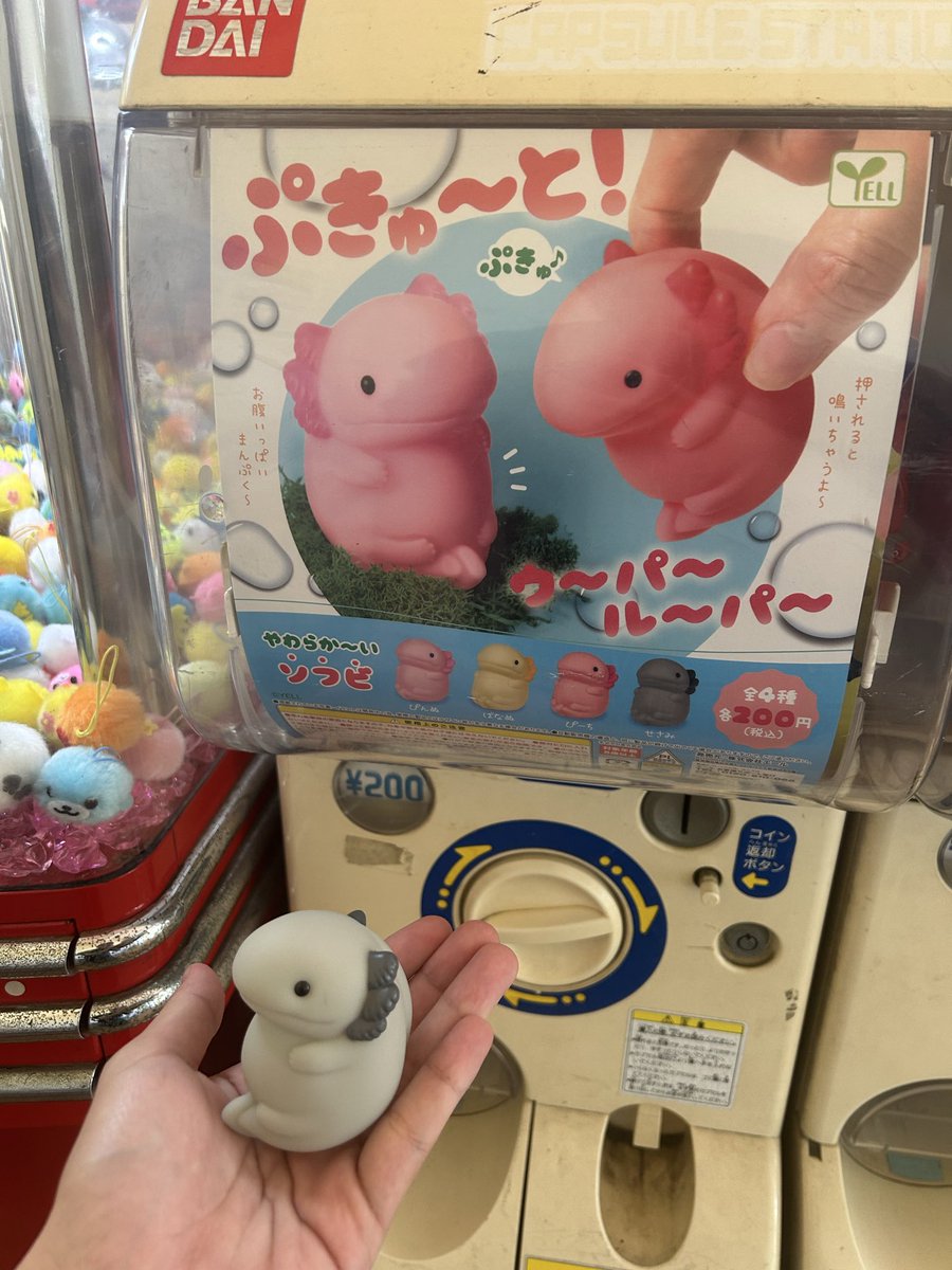 ウーパールーパー様 ムー on X