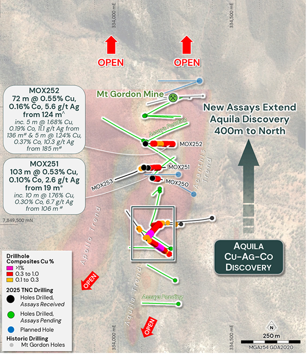 True North Copper tweet media