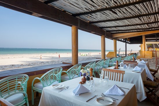 SerianTours's tweet photo. Diani awaits! A paradise that feels almost too perfect to be real. Here, time slows to the rhythm of the waves, and every sunrise paints a masterpiece across the horizon.
Pure Bliss on the Kenyan Coast
November and December packages are ready!
Contact +254711741921
#ExploreDiani https://t.co/GrQGidY22T
