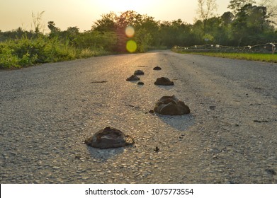 accidental_cmo's tweet image. ಇವೆರಡಲ್ಲಿ ಯಾವುದು ಚೆನ್ನಾಗಿದೆ
DKS ಹೇತಿದ್ದು          ದನ ಹೇತಿದ್ದು